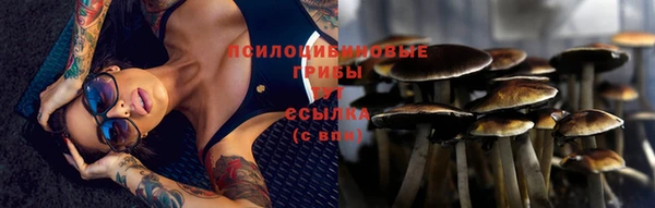 таблы Алзамай