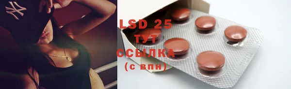 индика Алексеевка