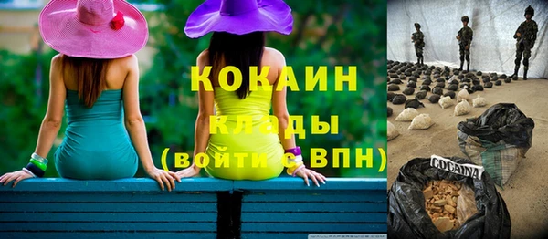 индика Алексеевка