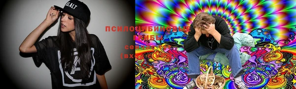индика Алексеевка