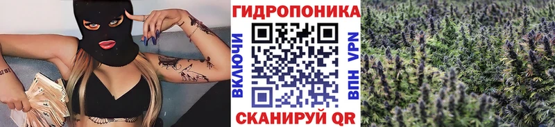 купить закладку  omg онион  Марихуана сатива  Глазов 